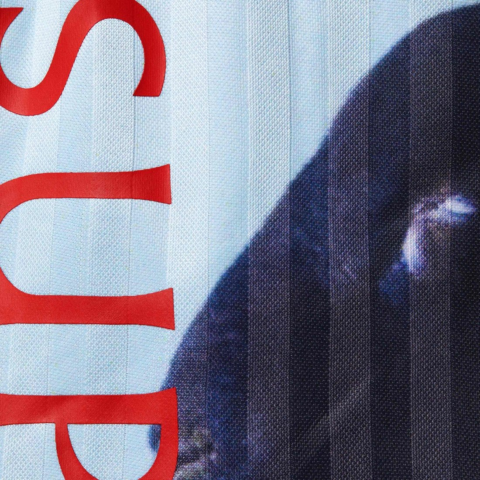 Supreme X Damien Hirst Soccer Short