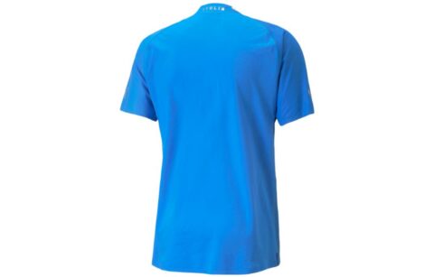 PUMA Soccer Jerseys Men’s Blue Moderate Straight Fit
