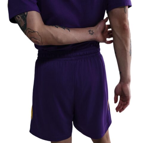 Nike Basketball Shorts Men’s Palace Purple