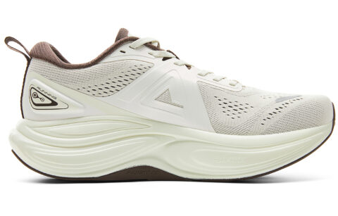 PEAK Cushioning Slip Resistant Rebound Low top Running Shoes Men’s Canvas White Brown