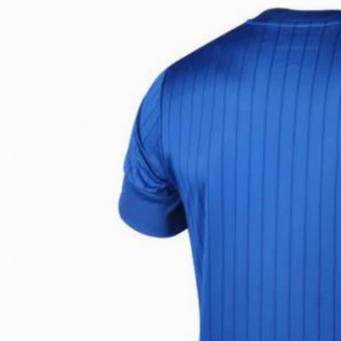 PUMA Soccer Jerseys Men’s Blue Moderate