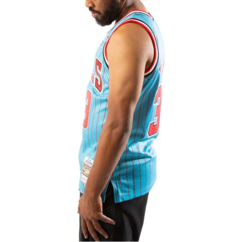 Mitchell Ness Scottie Pippen striped vest