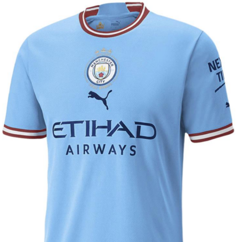 PUMA Manchester City Soccer Jersey Men’s Blue