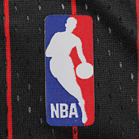 Mitchell Ness Authentic «NBA Chicago Bulls 1995 Dennis Rodman» jersey