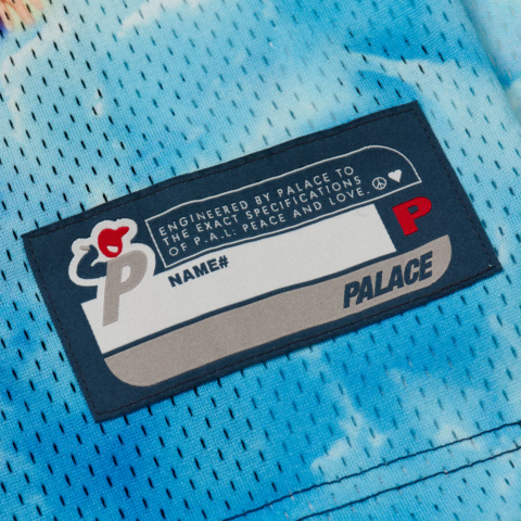 PALACE 2 Truth Jersey