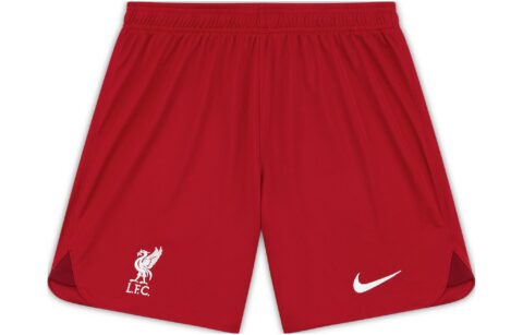 Nike Dri Fit Soccer Bottoms Men’s Dark Red Moderate Straight Fit Pants