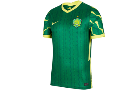 Nike Soccer Jerseys Men’s Green