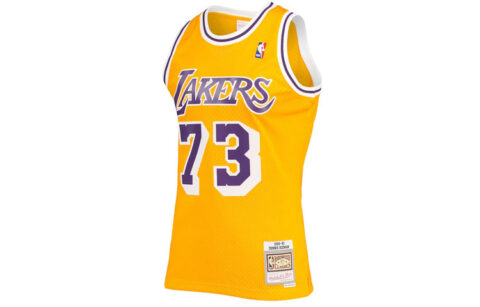 Mitchell & Ness Dennis Rodman Los Angeles Lakers 1998 99 Hardwood Classics Swingman Jersey