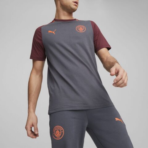 PUMA Soccer Jerseys Men’s Gray Moderate Straight Fit
