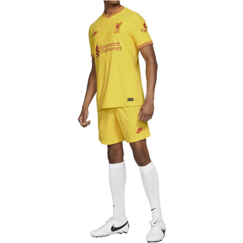 Nike Adv Vapor Liverpool Fc 2021/22 Dri FIT Jersey