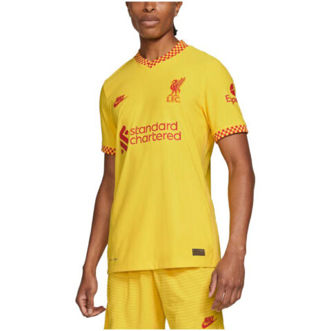 Nike Adv Vapor Liverpool Fc 2021/22 Dri FIT Jersey