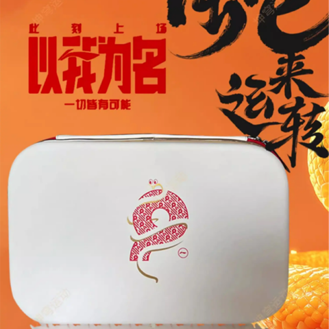 Li Ning Table Tennis Racket Cases Unisex Storage