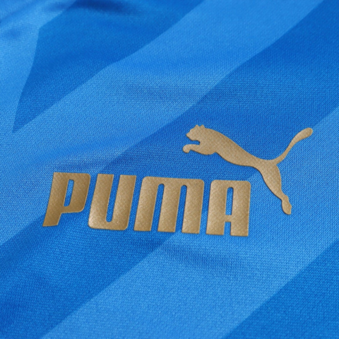 PUMA Soccer Jerseys Men’s Blue Moderate