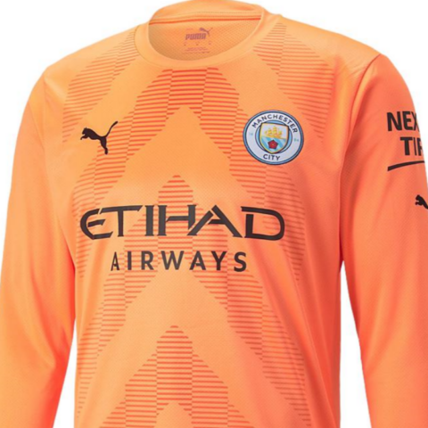 PUMA Soccer Jerseys Men’s Orange Moderate