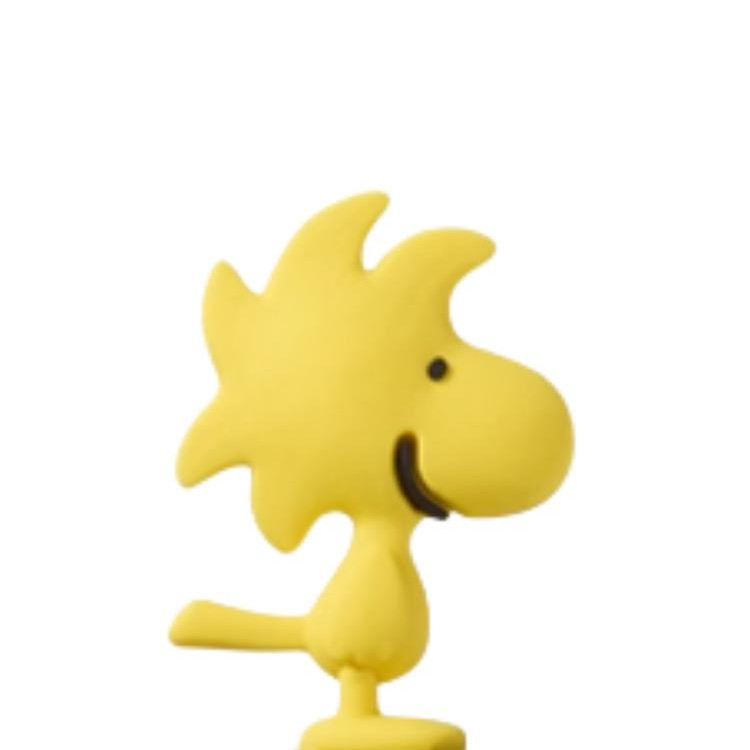 Crocs 1x PVC Shoe Accessories Unisex Yellow