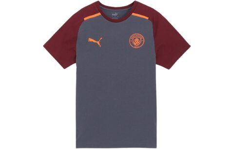 PUMA Soccer Jerseys Men’s Gray Moderate Straight Fit
