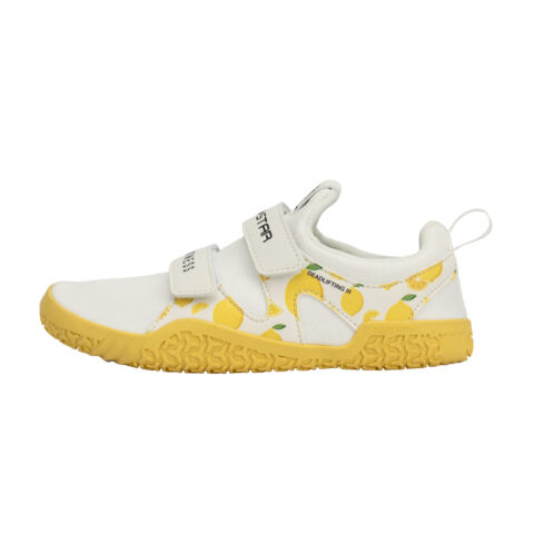 Lemon[Wide Last Training