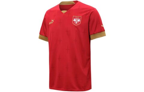 PUMA Soccer Jerseys Men’s Red Moderate Straight Fit