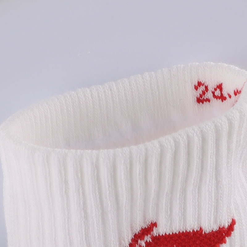 Li Ning Unisex Ankle Socks