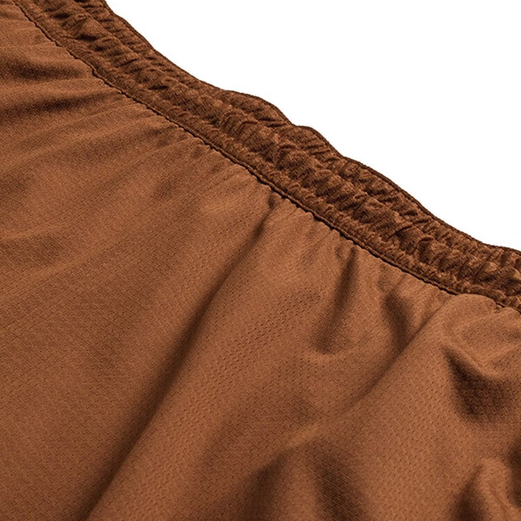 Nike Dri Fit SS25 Sports Shorts Men’s Brown