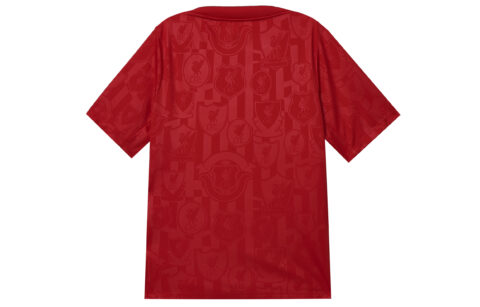 Nike Liverpool Fc Academy Pro Men’s Nike Dri FIT Soccer Pre Match Short Sleeve Top