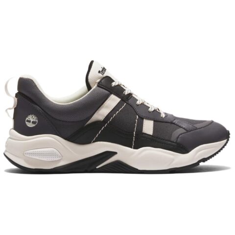 Timberland Delphiville Mountaineering & Hiking Shoes Women’s Low Top Dark Gray