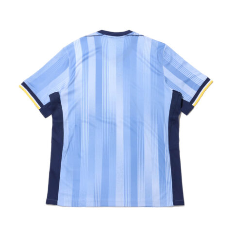 Nike Tottenham Hotspur 2024/25 Stadium Away Men’s Nike Dri FIT Soccer Replica Jersey