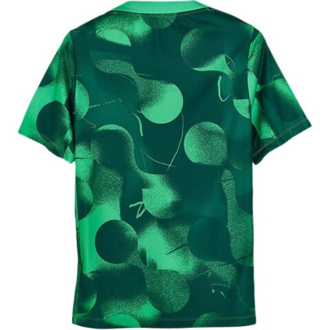 Nike Soccer Jerseys Men’s Green Moderate