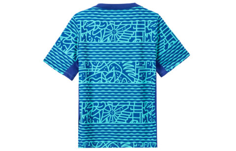 Nike Brazil Academy Pro Men’s Nike Dri-FIT Soccer Pre-Match Short-Sleeve Top