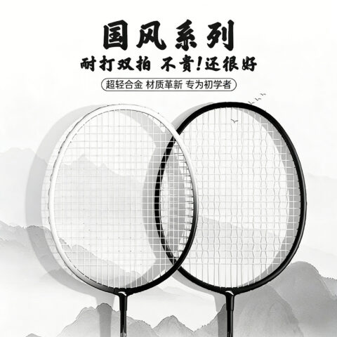 Anta Aluminum Alloy Badminton Rackets Control Type All around Defense Entry level 1U/G4