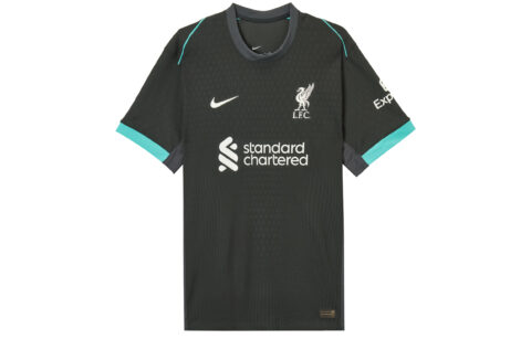 Nike Liverpool Fc 2024/25 Match Away Men's Nike Dri-FIT Adv Soccer Authentic Jersey