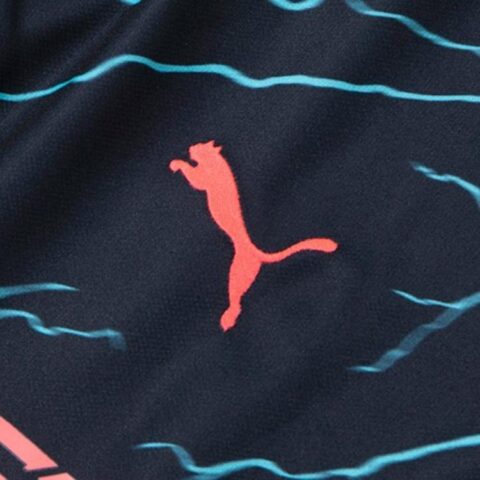 PUMA Soccer Jerseys Men’s Blue Moderate