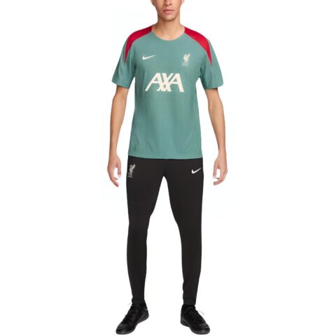 Nike LiverpoolDri FIT ADV Soccer Jersey Men’s Green