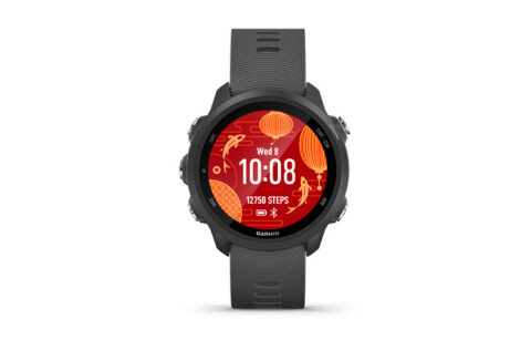 GARMIN Forerunner245 Smart Watches Unisex