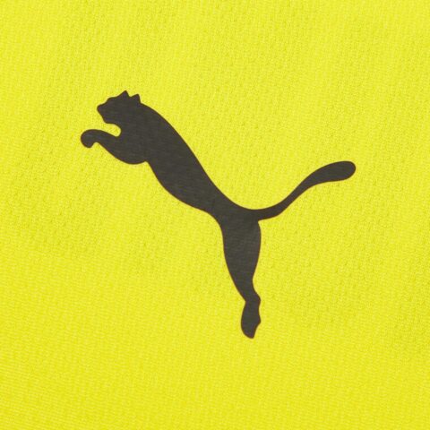 PUMA Soccer Jerseys Men’s Yellow Moderate
