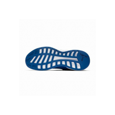 Jordan Formula 23 Team Royal