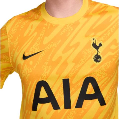 Nike Tottenham Hotspur 2024/25 Stadium Goalkeeper Men’s Nike Dri FIT Soccer Short Sleeve Replica Jersey