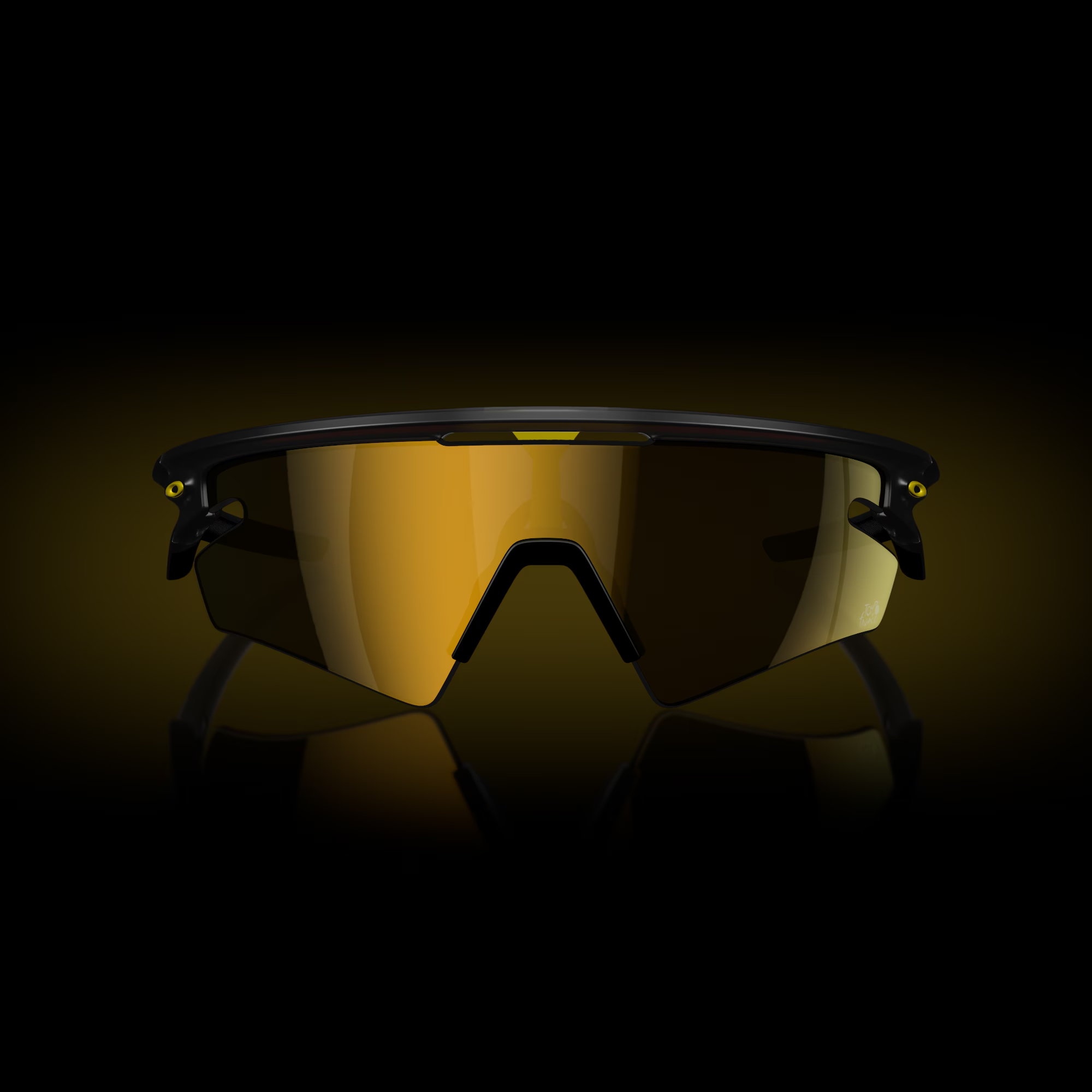 Oakley Everyday Unisex Cycling Glass