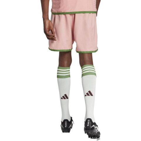 Adidas X Nigo Japan National Soccer Team Special Collection Numbered Shorts