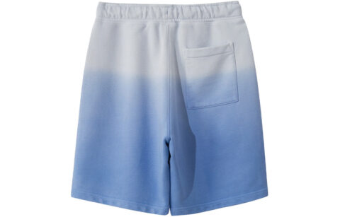 Li Ning Sports Shorts Men’s Blue Moderate