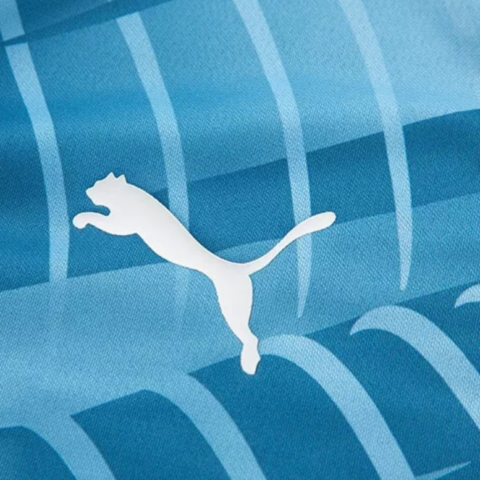 PUMA Manchester City Home Jersey Collection Soccer Jersey Men’s Blue