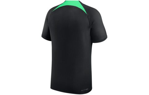 Nike Liverpool Fc 23/24 Strike Elite T shirt