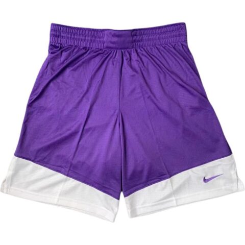 Nike Basketball Shorts Men’s Purple