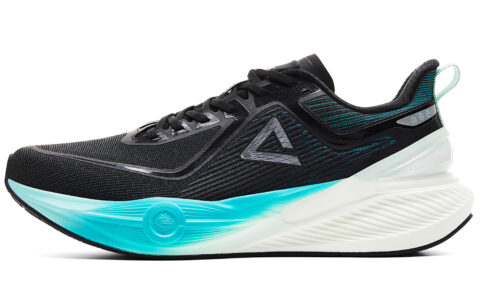 PEAK Taichi 7.0 PRO Cushioning Slip Resistant Abrasion Resistant Low top Casual Running Shoes Men’s Black Green