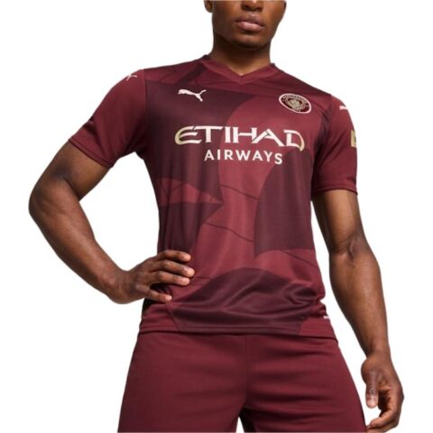 PUMA Jersey Alternativo Hombre Manchester City 24/25