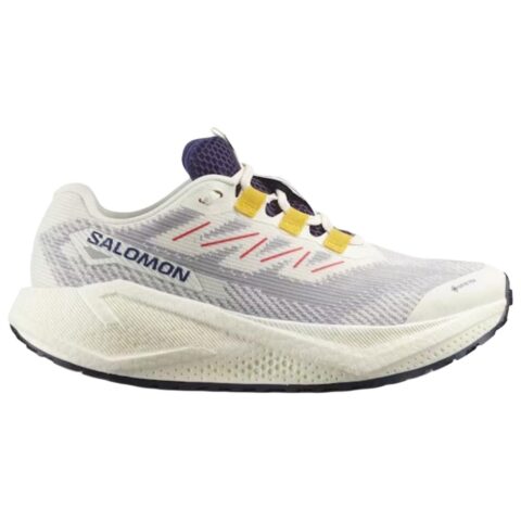 SALOMON AERO BLAZE 3 Trail Running Shoes Women’s White Gray