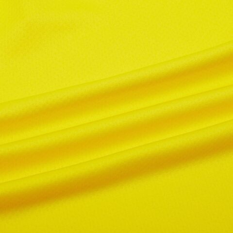 PUMA BVB REPLICA Soccer Bottom Men’s Yellow