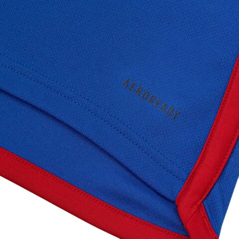 Adidas Yokohama F. Marinos 24 Home Soccer Jersey Fan Edition, Yokohama Marinos, Home Men’s Royal Blue