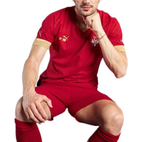 PUMA Soccer Jerseys Men’s Red Moderate Straight Fit