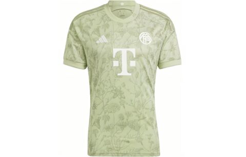 Adidas FC Bayern Soccer Jerseys Men’s Light Green Moderate Straight Fit